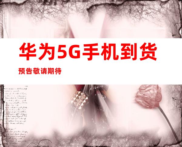 传承红色血脉，筑牢Weilink长城